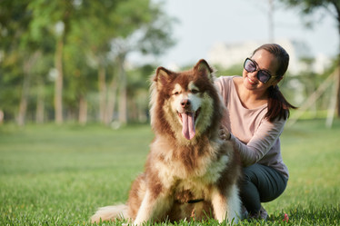 Similar image 21567810