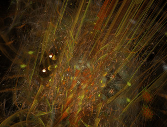 Similar image 21623781