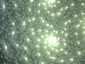 Similar image 21618429