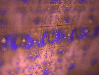 Similar image 21619331