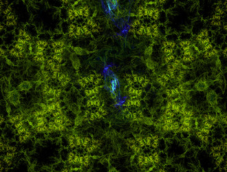 Similar image 21619732