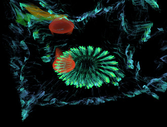 Similar image 21613594