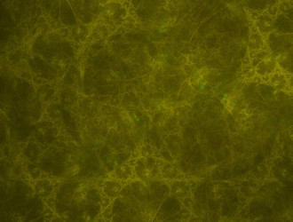 Similar image 21614485