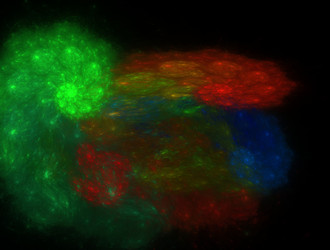 Similar image 21623785