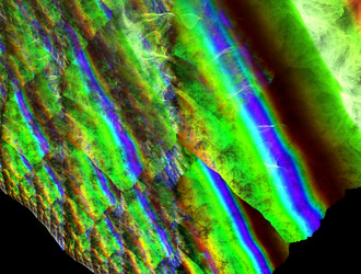 Similar image 21624566