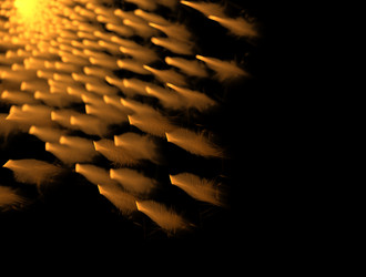 Similar image 21618035