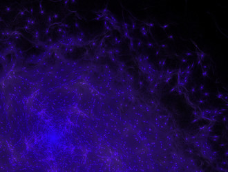 Similar image 21619738