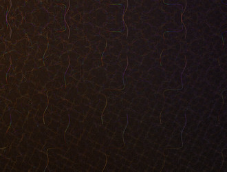 Similar image 21612007