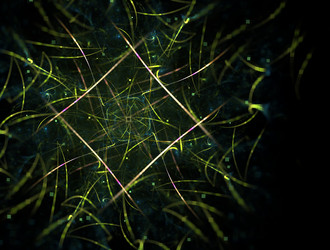 Similar image 21625265