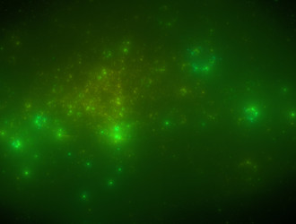 Similar image 21623931