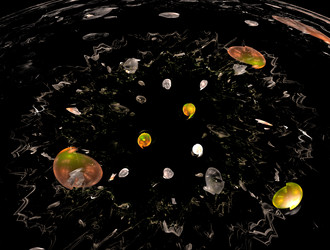 Similar image 21614505