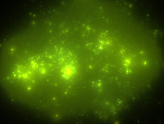 Similar image 21620481