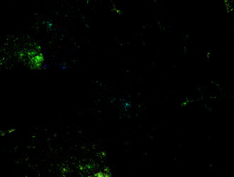 Similar image 21625269