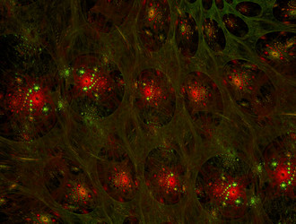 Similar image 21623395