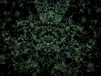 Similar image 21610228