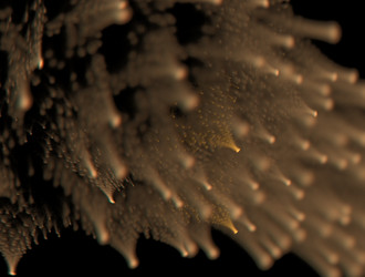 Similar image 21610240