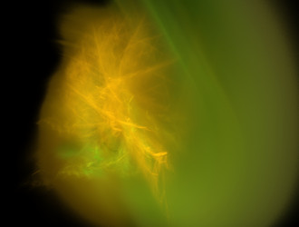 Similar image 21618912