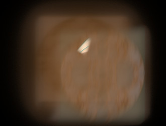 Similar image 21623401