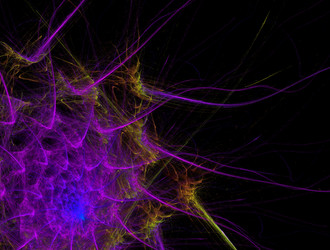 Similar image 21626127