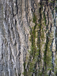 Similar image 21630658