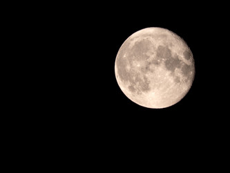 Similar image 21630659