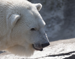 Similar image 21630660