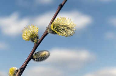 Similar image 21630879