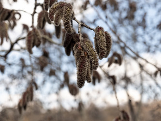 Similar image 21630883