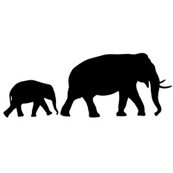 Similar image 21631196