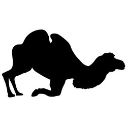 Similar image 21631216