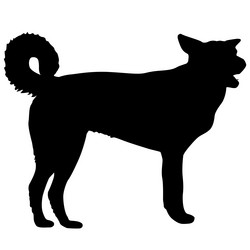 Similar image 21631220