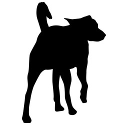 Similar image 21556051