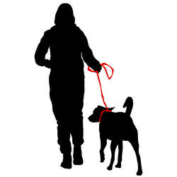 Similar image 21556055