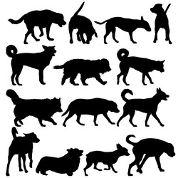 Similar image 21558862