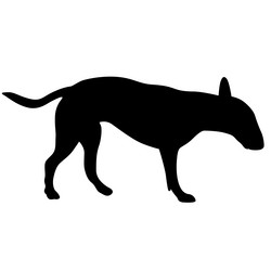 Similar image 21558920