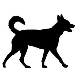 Similar image 21609483