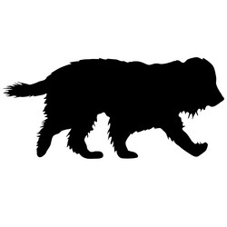 Similar image 21610014