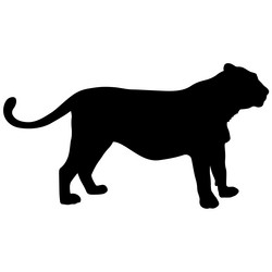 Similar image 21609501