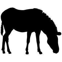 Similar image 21610024