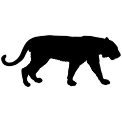 Similar image 21611469