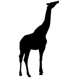 Similar image 21611658