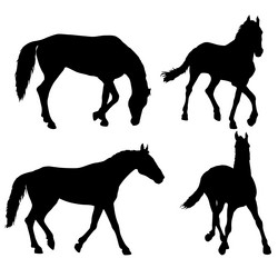 Similar image 21630096