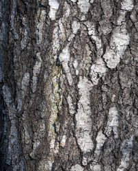 Similar image 21630893