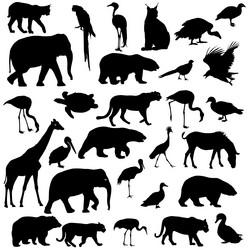 Similar image 21630896