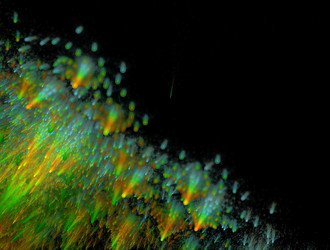 Similar image 21610256