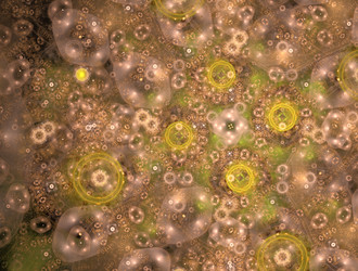 Similar image 21610267