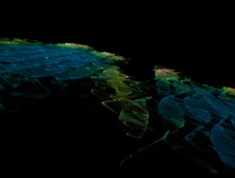 Similar image 21623937