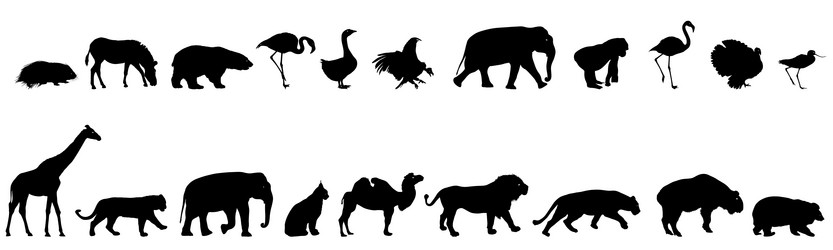 Similar image 21556072