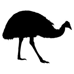 Similar image 21554643