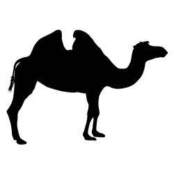 Similar image 21555977